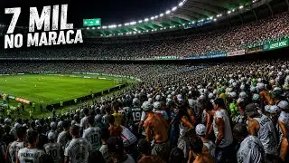 Fluminense 1 x 0 Palmeiras - 
