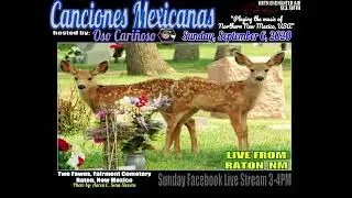 New Mexico Spanish Music Program: Canciones Mexicanas