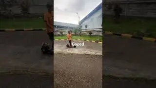 Goped gasken