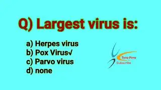 Largest virus