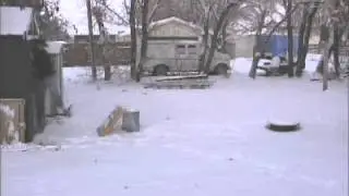 Whippin Sean jumping into shed