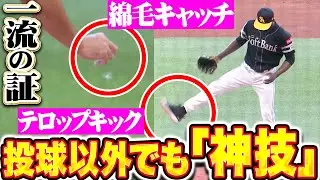 【一流の証】伊藤大海・モイネロ『綿毛キャッチ＆テロップキック&hellip;投球以外でも&ldquo;神技&rdquo;披露！』