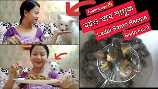 Ladai Samo বনালো // Dagor Khamuk Recipe// Tribal ঘৰৰ  Dogy শামুক ও খাই 😛🤭🤭