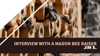 Mason Bee Interview with Jim S.