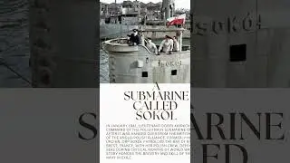 ORP Sok&oacute;ł: The Brave Polish Submarine in WWII ✅