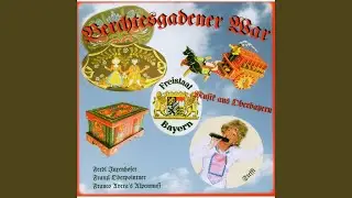 Hopfen aus der Holledau