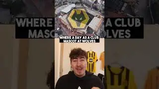 The most expensive Premier League Mascot experiences #premierleague #football #soccer #england