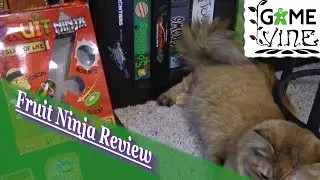 Fruit Ninja Review: /w Game Vine