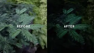 How to edit MOODY GREENS in Lightroom EASILY