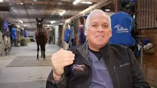 Dr. Baldt - Horse Personalities (#1356 Dec 15, 2024)