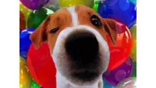 Happy Birthday Crystal! - Your Personal Birthday Video