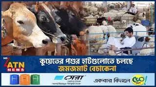 কুয়েতের পশুর হাটগুলোতে চলছে জমজমাট বেচাকেনা | Eid Al Adha 2025 | Kuwait | ATN News