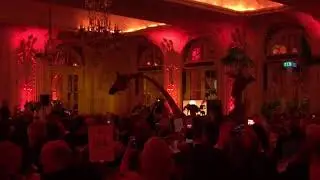 'Lion King' Immersive Dinner Show