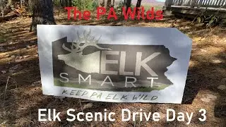 The PA Wilds Elk Scenic Drive Day 3: In Search of the Pennsylvania Elk Herd