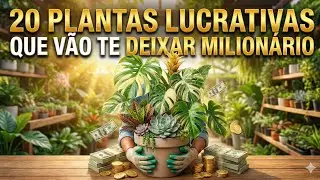 20 plantas lucrativas que vão te deixar milionário