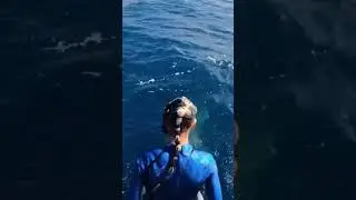 You Shouldn't Go Snorkeling Today💀 (@ttiktk) #shorts
