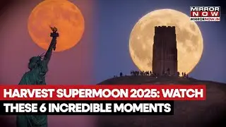 Урожайное суперлуние 2025: смотрите 6 невероятных видеороликов, запечатлевших это редкое небесное...