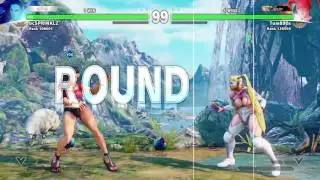 STREET FIGHTER V - salt fighter