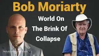 Bob Moriarty  Global Chaos and Financial Collapse