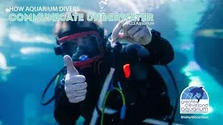 How Does a Diver Talk Underwater?