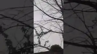 YAYA COULEUR YA BOLINGO EKOKANAKA KOKANAKA TE & PESATANGO OYO YA YA I.YL ok ..........