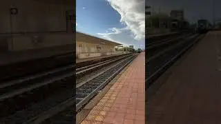Navettone D445 1038 a Elmas Aeroporto
