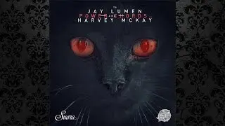 Harvey McKay & Jay Lumen - Two (Original Mix) [SUARA]