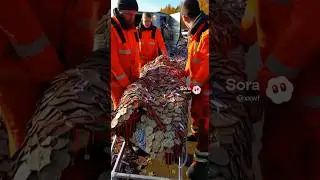 Задрыщенск  ► все что не вошло или вошло в ежедневные выпуски #юмор #viralvideo