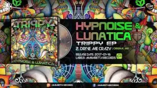Hypnoise & Lunatica - Drive Me Crazy