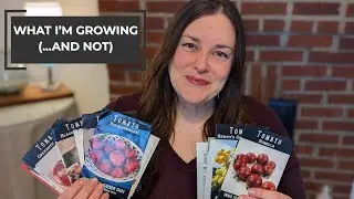 My 2026 Tomato Seed Starting List: Keepers, Wildcards, & What I&rsquo;m Retiring