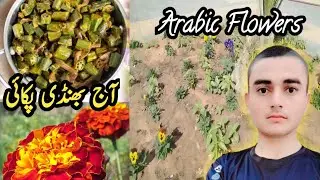 Arabic Flowers in Saudi Arabia | Pakistani Sabzi Bhindi Pakai