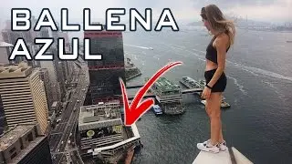 20 COSAS QUE NO SAB&Iacute;AS DE LA BALLENA AZUL (Juego Letal)