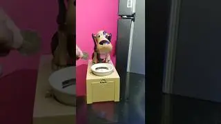 Doggy😄Eat😁My coin #coinbank #asmrsounds #shortvideo #viralshort