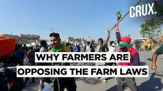 What Is The Controversy Over The Farm Laws & Why Are Farmers Opposing It?