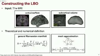 OHBM 2025 | Educational Course | Brain Modes, Components, and Gradients | Part 1
