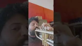Minor Swing Tromba -  David Uncini
