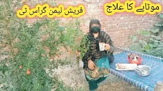 Fresh Lemon Grass Tea | My Village Style Totke | Village Festival 