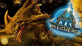 ASA Valguero REAPER BABY CHAOS BIRTH #67