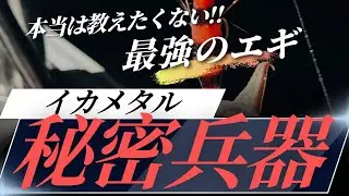 【2025・イカメタル】本当は教えたくない！最強のエギ！
