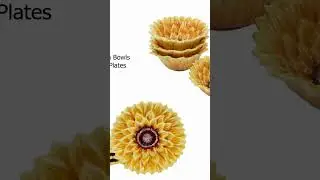 Certified International Sunflower Fields 16 Piece Dinnerware Set, Service for 4, Multi Colored