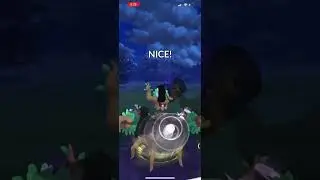 Ultra Premier Classic Team Shadow Magnezone Trevenent Staraptor Go Battle League GBL Pokemon Go
