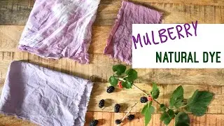 Natural color  D.I.Y  | Natural dye color from Mulberry D.I.Y. | Purple color from natural dye