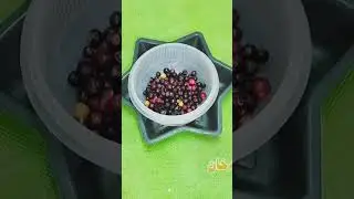 falsa ka #juice recipe how to make #falsay ka #sharbat in Urdu Hindi by #zarikalife's