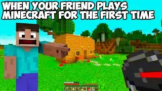 Minecraft Funny Noob