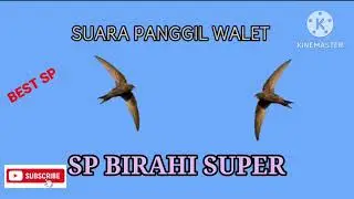 Suara Panggil Walet || SP BIRAHI SUPER|| link dideskripsi