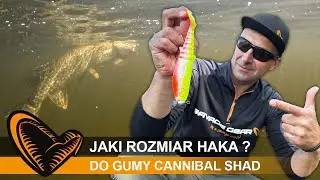 JAK DOBRAĆ ROZMIAR GŁ&Oacute;WKI JIGOWEJ do GUMY CANNIBAL ?