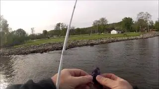 Mudd Butt Baits, 5.5