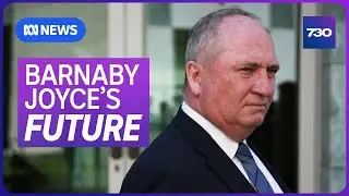 Matt Canavan 'disappointed' by Barnaby Joyce's departure from the Nationals | 7.30