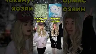 Меток нет арт вб 453153129 #коты #собаки #питомцы #жиза #лайфхак