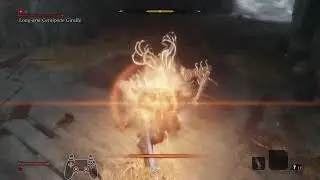 (AP1 NG+) Long-arm Centipede Giraffe